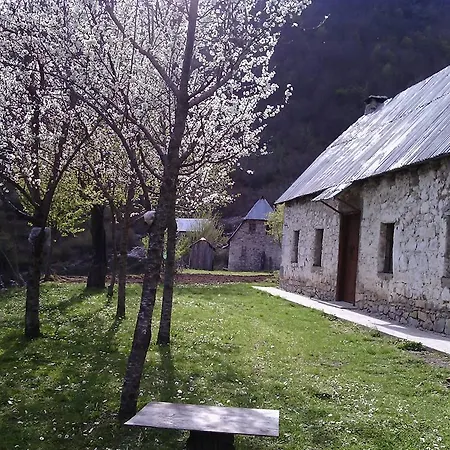 Syri I Kalter Kaprre *